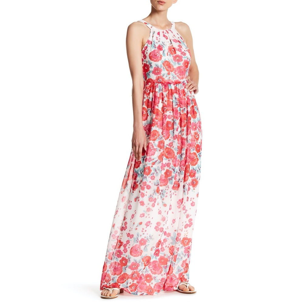Eliza J Floral Red and White Maxi Dress